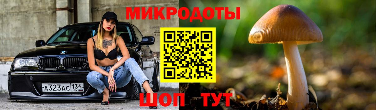 Галлюциногенные грибы Cubensis Бахчисарай